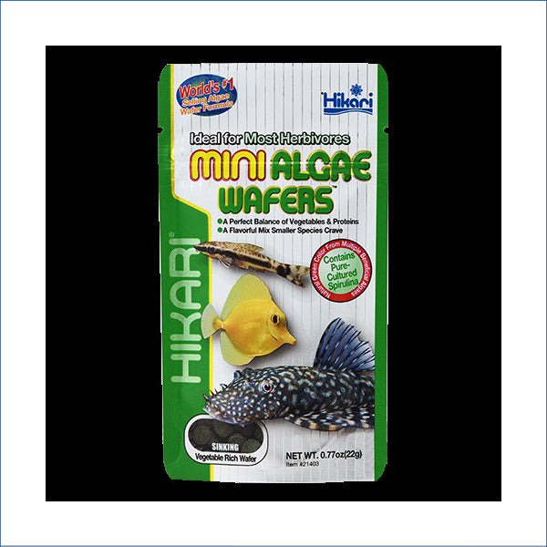 Hikari Mini Algae Wafers 22g Kh21403