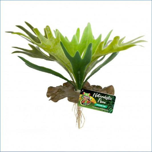 Zoo Med Staghorn Fern Zm906