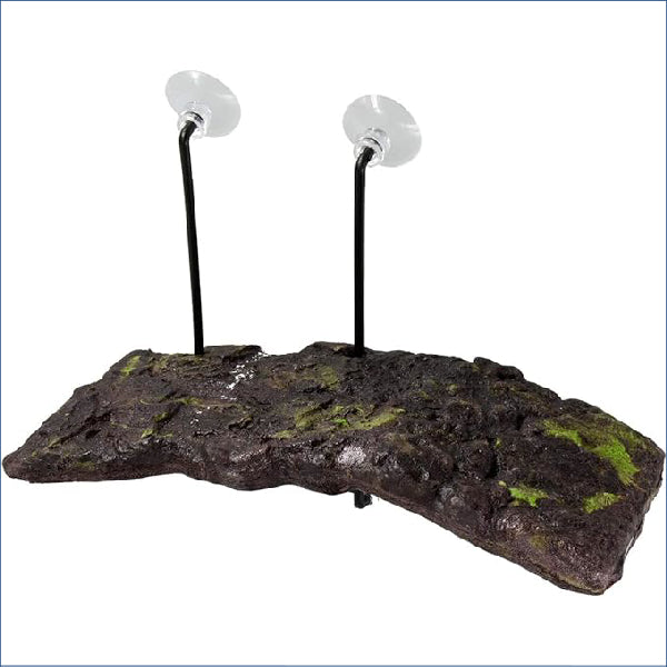 Turtle Dock Small - Zm204