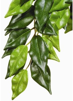 Exo Terra Forest Plant Ficus Large Rp64