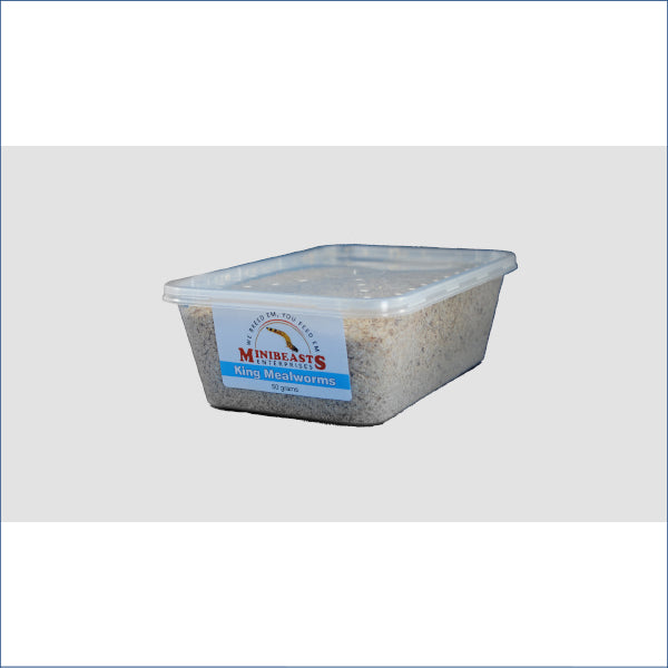 King Mealworms 50g K3