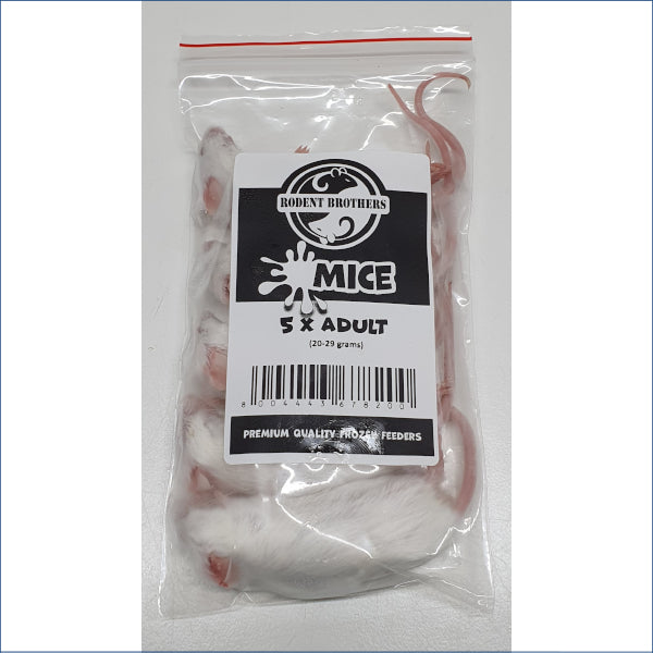 Adult Mice 5 Pack
