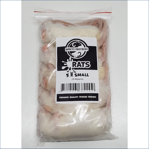 Small Rats 5 Pack