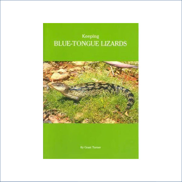 Keeping Blue Tongue Lizards Ax22