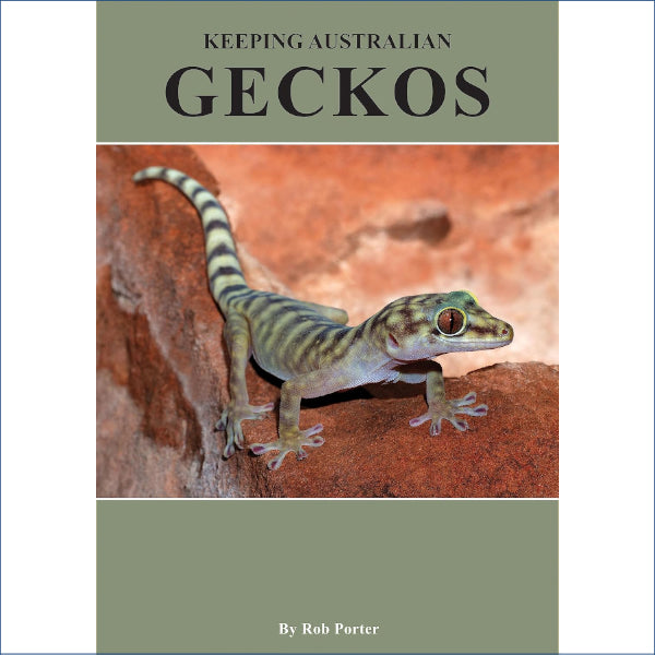 Keeping Australian Geckos Ax30