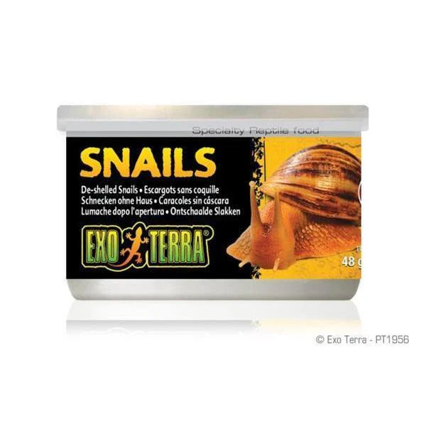 Exo-terra Snails Unshelled 48g Rp96