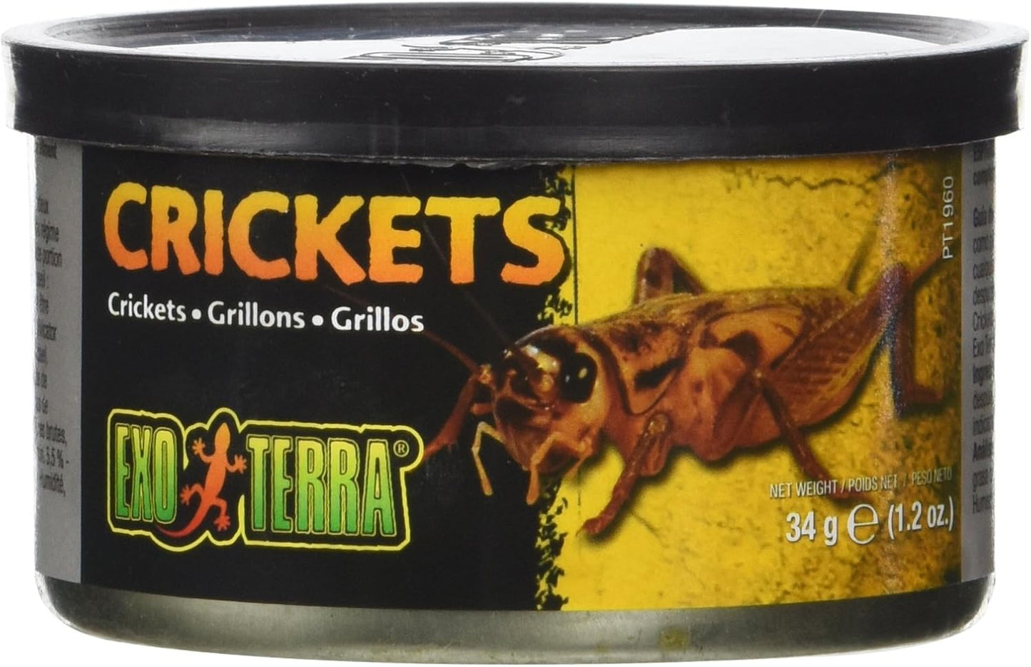 Exo-terra Crickets Sml 34g Rp100