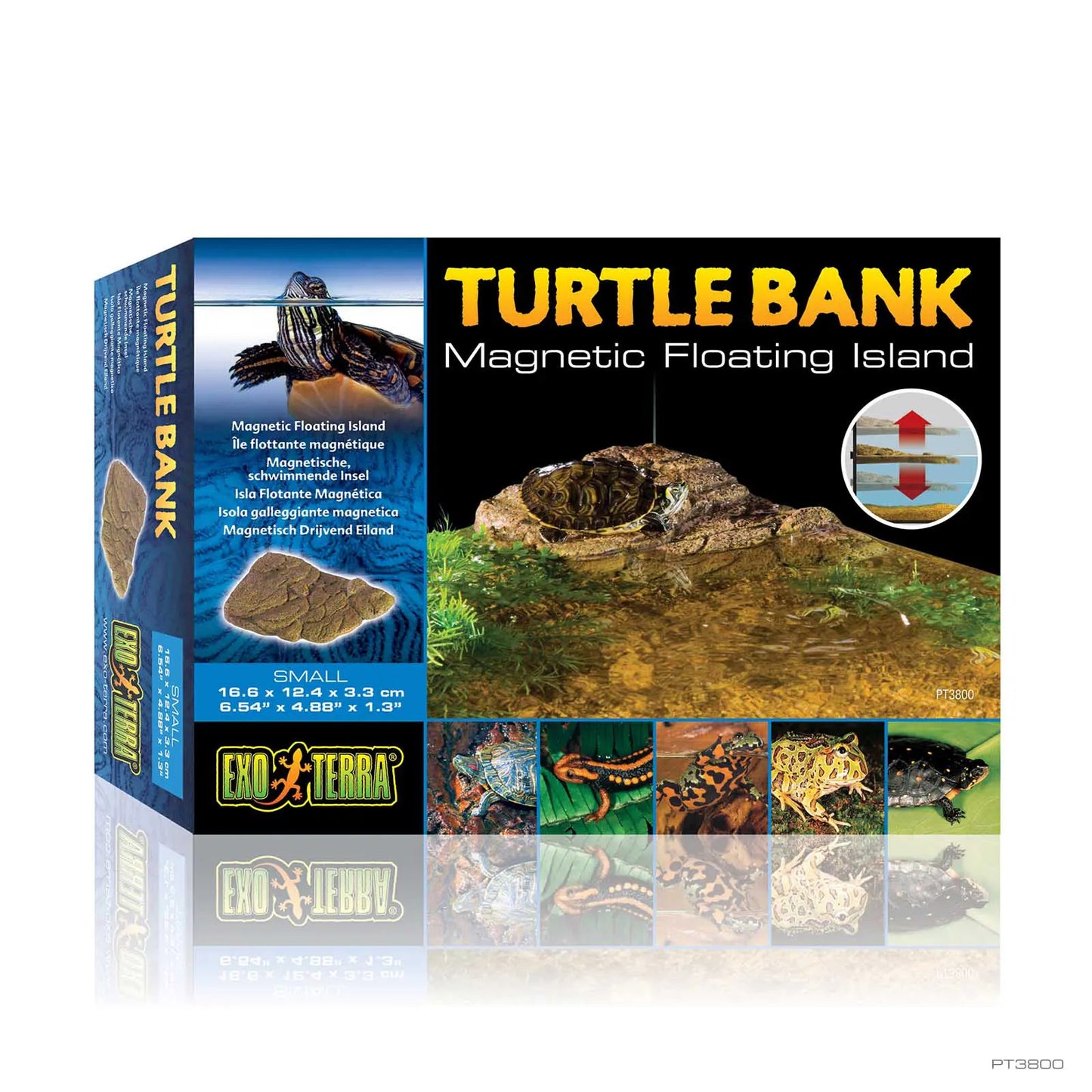 Turtle Bank - Small Rp192