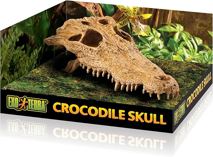 Exo Terra Crocodile Skull- Medium Chl47