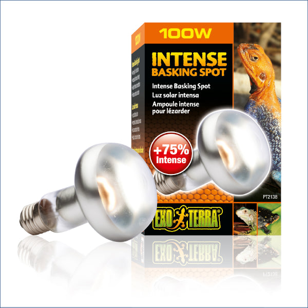 Exo Terra Basking Spot Lamp 100w Rp34