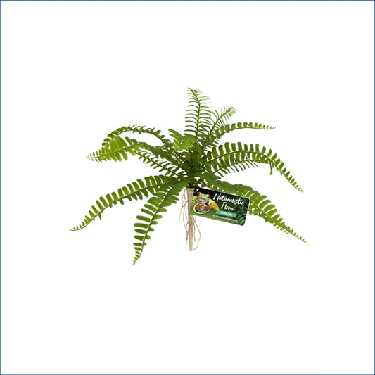Zoo Med Sword Fern Zm904