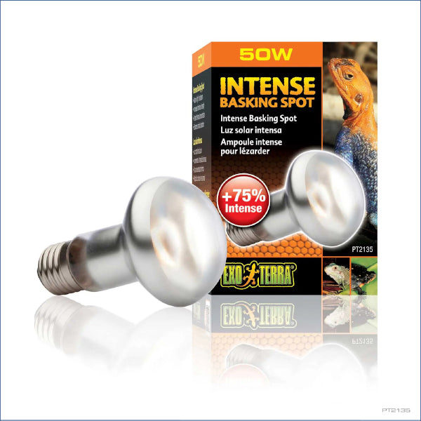 Exo Terra Basking Spot Lamp 50w Rp32