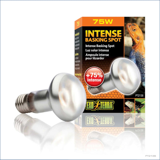 Exo Terra Basking Spot Lamp 75w Rp33