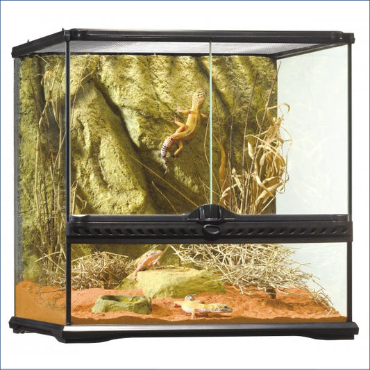 Exo Terrarium Small Wide 45x45x45 Egt03