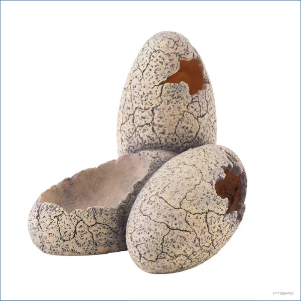 Exo Terra Dinosaur Eggs Chl52