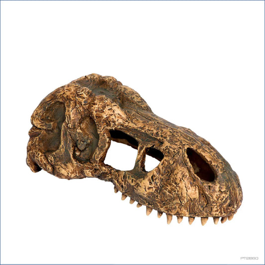 Exo Terra Trex Skull Chl56