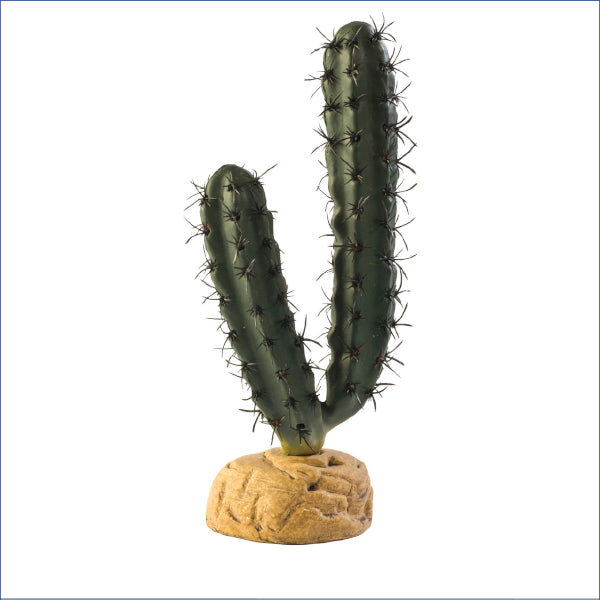 Finger Cactus 20cm Rp169