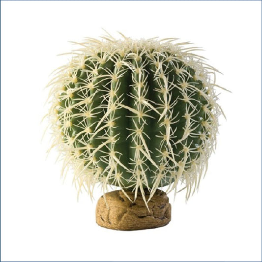 Barrel Cactus Large Rp166