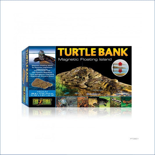 Turtle Bank - Medium Rp193