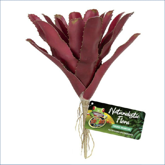 Zoo Med Fireball Bromeliad Zm901