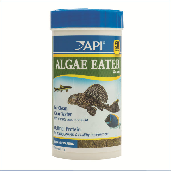 API Algae Eater Wafers 181g Aph422