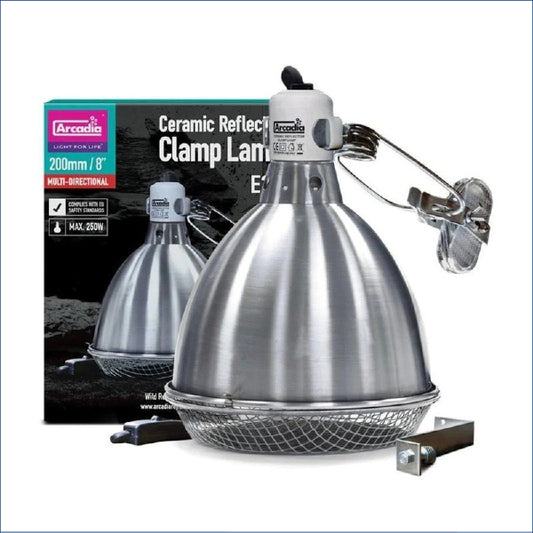 Arcadia Reflector Lamp Ss 20cm Mf56875