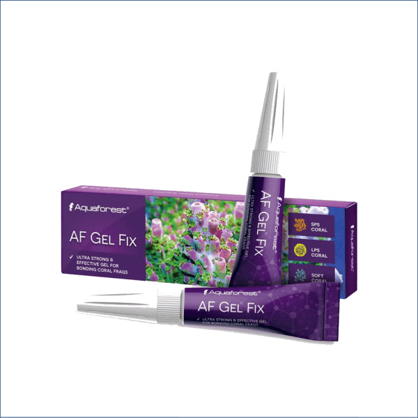 Aqua Forest Gel Fix