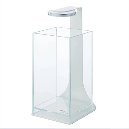 Chihiro Wabi Kuas Glass Set C Magnetic G