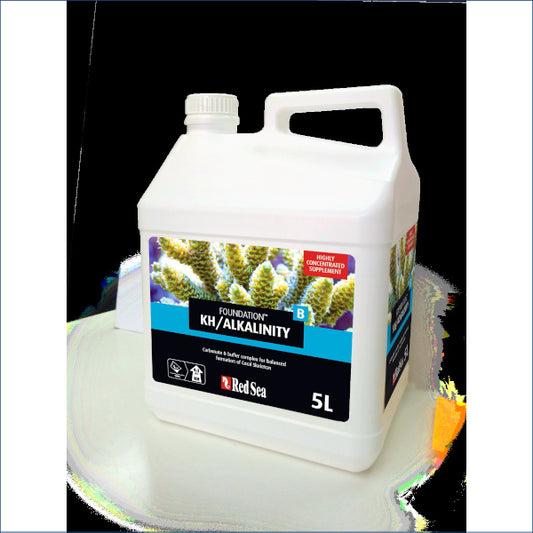 Red Sea Reef Care - Founda B 5lt Red281a