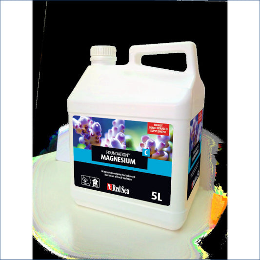 Red Sea Foundation C 5lt Red282a