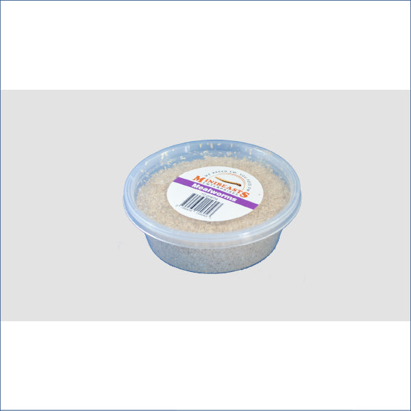Mealworms 10g M4