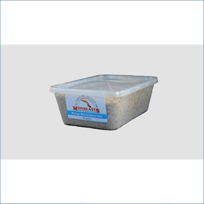 King Mealworms 50g K3