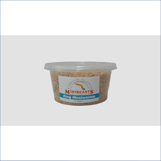 King Mealworms 20g K4