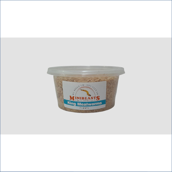 King Mealworms 20g K4