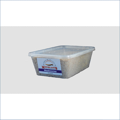 Mealworms 100g M2