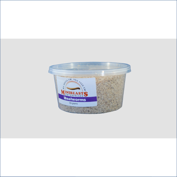 Mealworms 50g M3