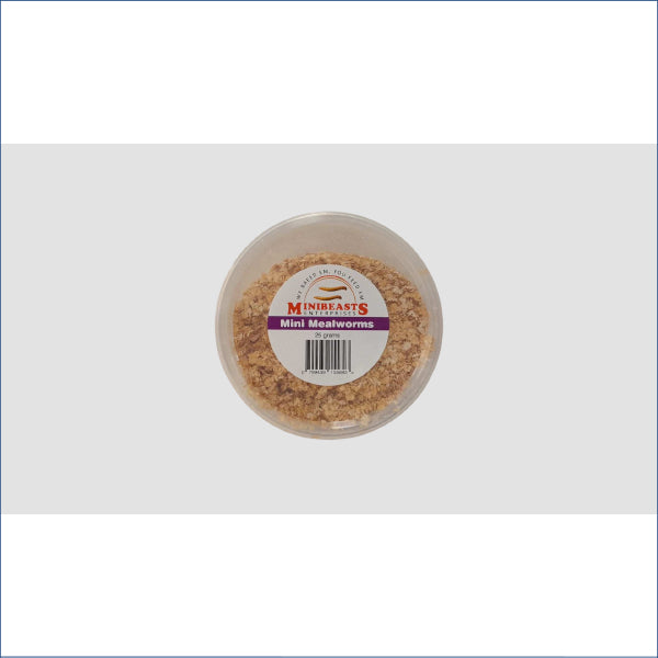 Mini Mealworms 25g M5