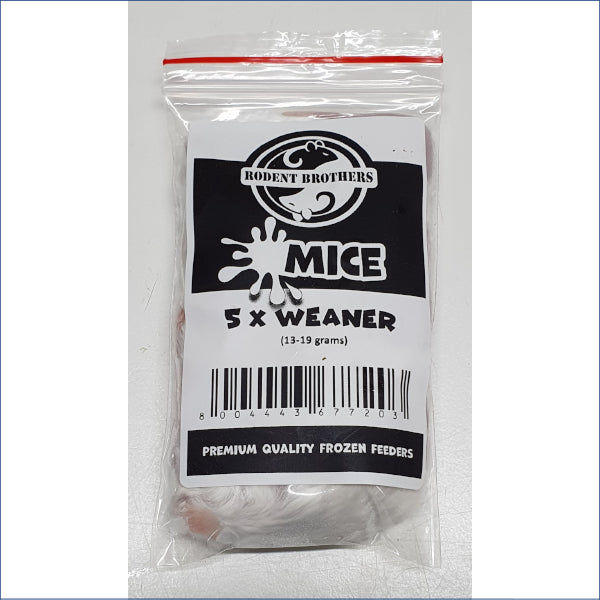 Weaner Mice 5 Pack