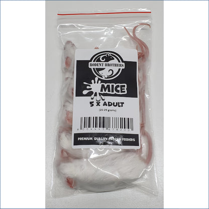 Adult Mice 5 Pack