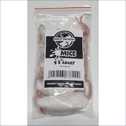 Adult Mice 5 Pack