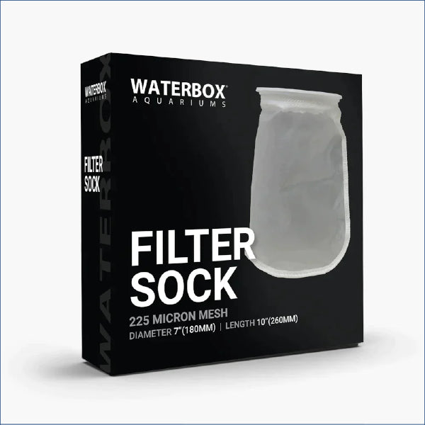 Water Box 7 Mesh Sock Wb180865