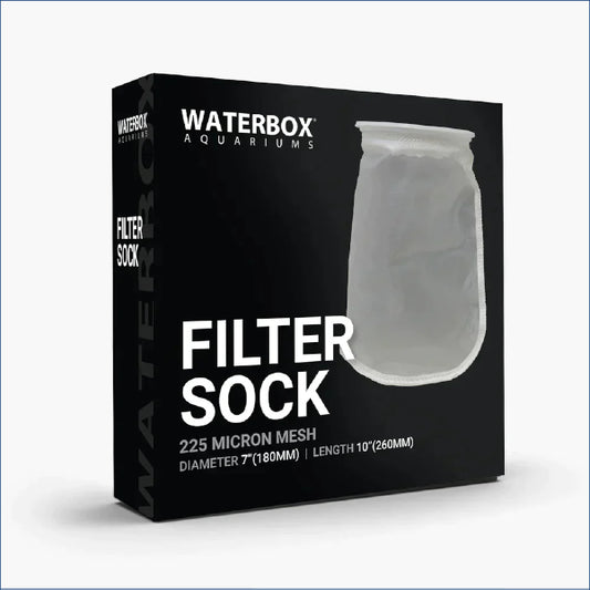 Water Box 7 Mesh Sock Wb180865