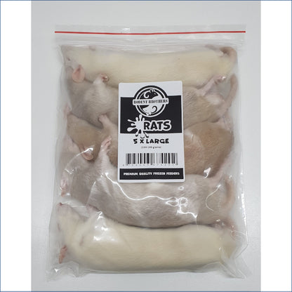 Rats Large 5 Pack