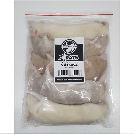 Rats Large 5 Pack