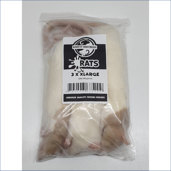 X Large Rats 3 Pack