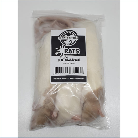 X Large Rats 3 Pack