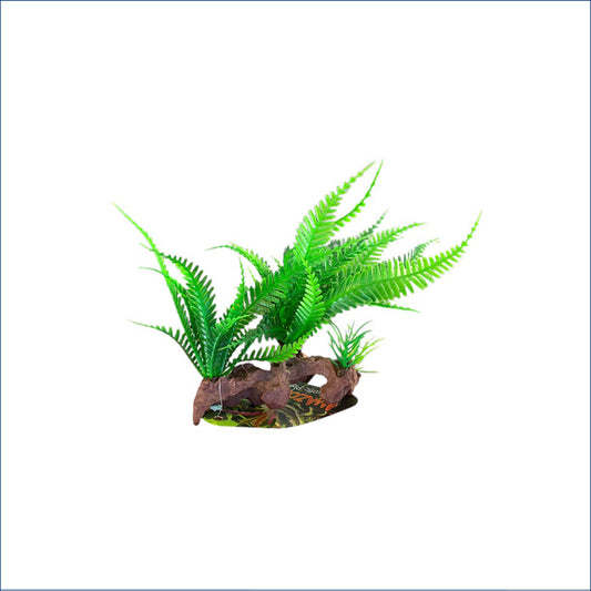 Twin Lace Fern Cpp32