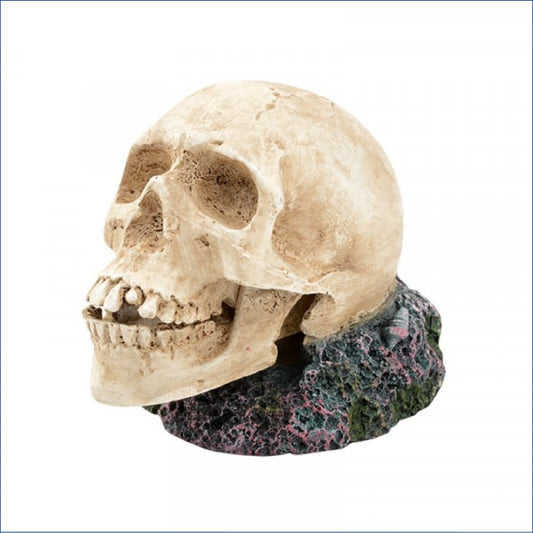 Biioscape Bubbler Human Skull Bis332