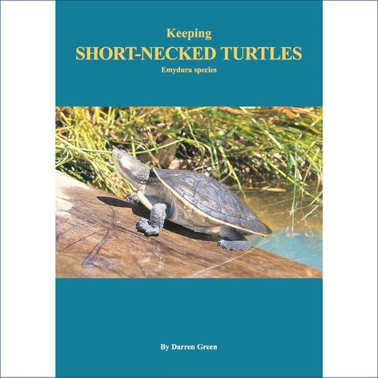 Keeping Short Necked Turtles Ax19
