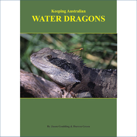 Keeping Australian Water Dragons Ax29